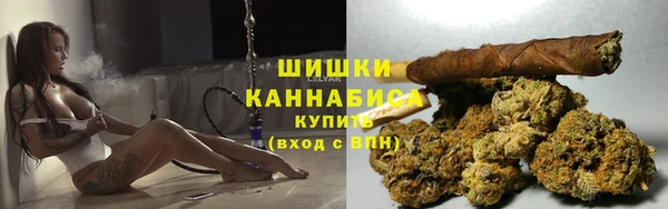 PSILOCYBIN Белоозёрский