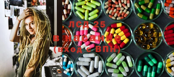 PSILOCYBIN Белоозёрский