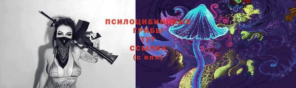 PSILOCYBIN Белоозёрский