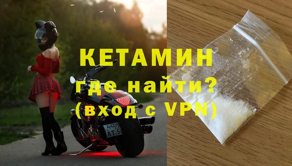стаф Пересвет