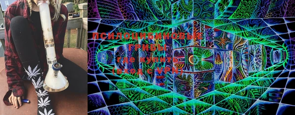 spice Пестово