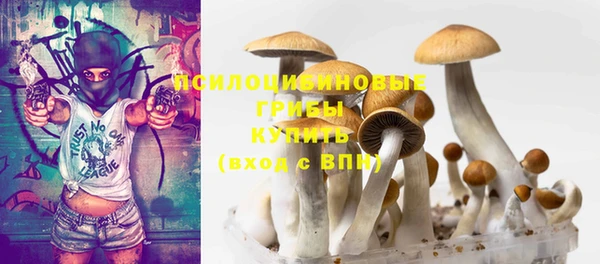 PSILOCYBIN Белоозёрский